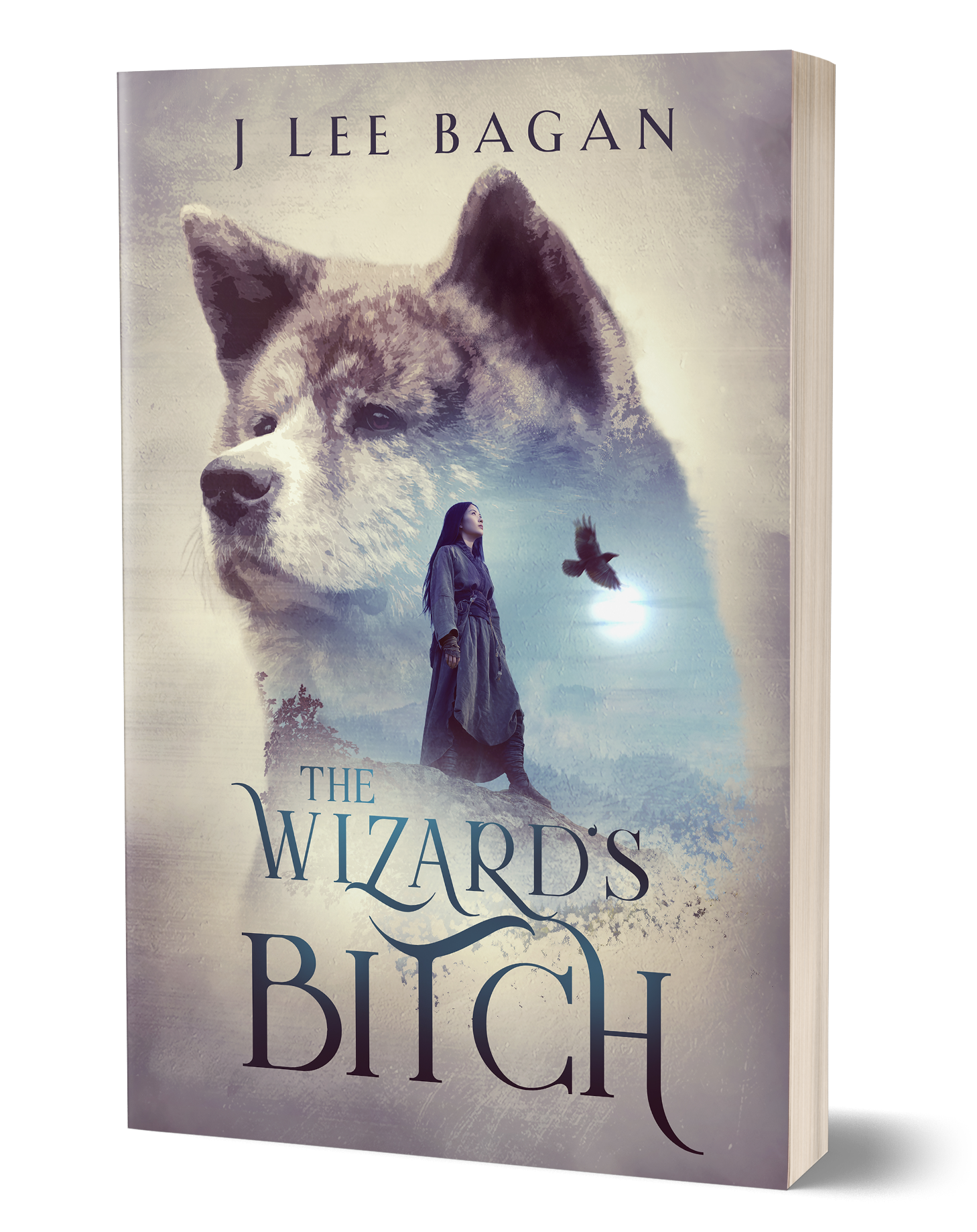 Cover of The Wizard's Bitch
