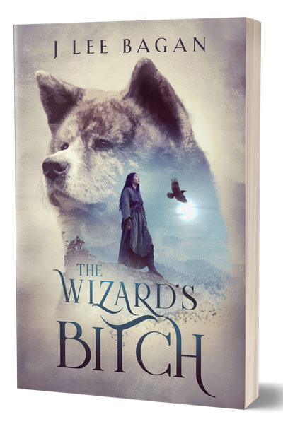 Cover of The Wizard's Bitch